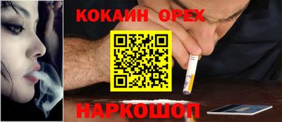 амф Донской