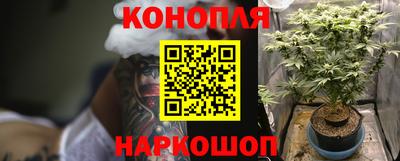 амф Донской